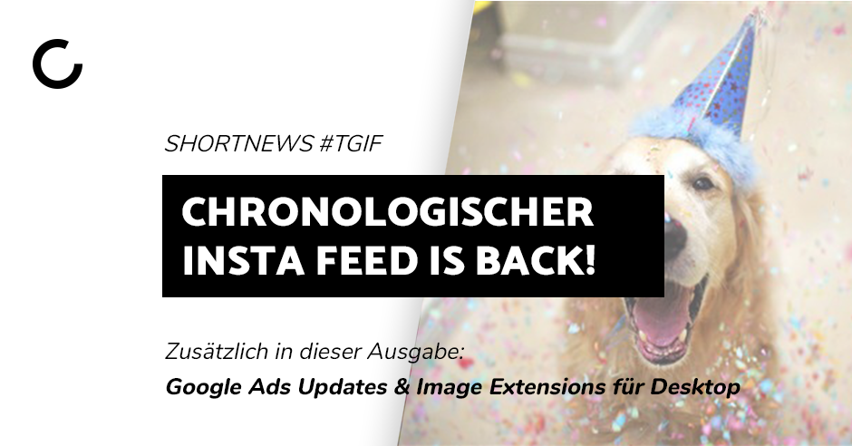 Blogbeitrag chronologischer Instagram Feed