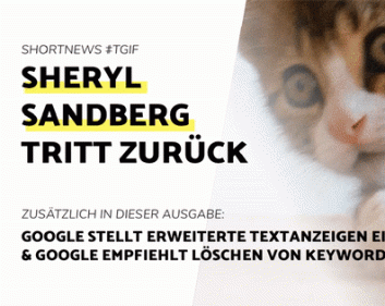 Blogbeitrag Sheryl Sandberg 2